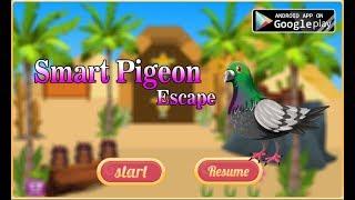 Avm Smart Pigeon Escape Walkthrough [AvmGames]