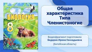 Тип Членистоногие. Тема 14. Общая характеристика типа Членистоногие