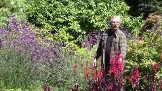 Mendocino Coast Botanical Gardens in Fort Bragg, CA - Perennials with Mario Abreu