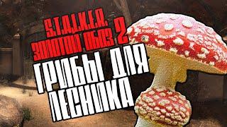 S.T.A.L.K.E.R.: "Золотой обоз 2" Где грибы для Лесника