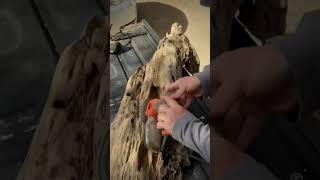 Wow!! Nice transformation!! #driftwood #diy
