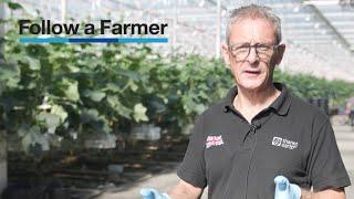 Growing cucumbers - Follow a Farmer UK, Thanet Earth S1:E2