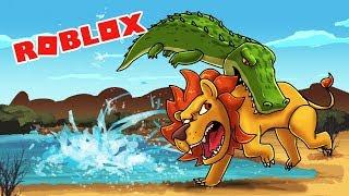 Roblox Safari - WHO IS THE KING OF THE JUNGLE!? (Lion vs Crocodile)