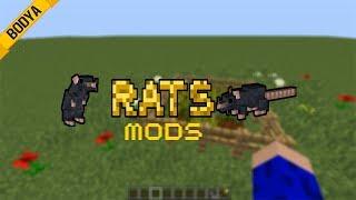 #1/Обзор мода на 1.12.2 /Rats mod