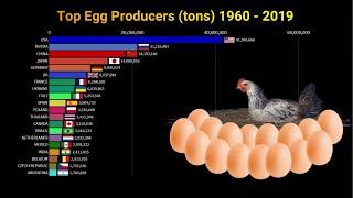 World's Largest Egg Producing Countries 1960-2019 | China vs USA | Chicken + Egg Animations