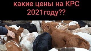 Скотный рынок  п.Манас. какие цены 2021 г ??