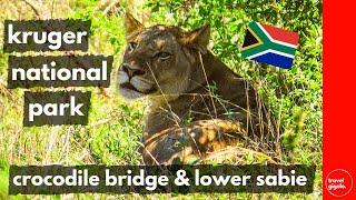 Travel Review: Big 5 Safari Kruger Park - Crocodile Bridge, Lower Sabie (South Africa Self Drive)