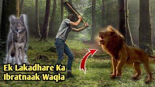 Ek Lakadhare Ka Ibratnaak Waqia || RaaH E Deen