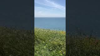 #АНАПА 25 МАЯ 2024СУПЕР МОРЕПОЛНЫЙ РЕЛАКС #море #пляж #отдых #отпуск