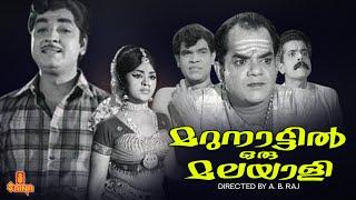 Marunnattil Oru Malayali | Prem Nazir, Vijayasree, Adoor Bhasi, Prameela - Full Movie