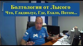 Грузоперевозки. Болтология от Лысого. Что, Зачем и Почему, Случится или НЕТ...#грузоперевозки