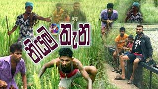 Niyama theana Sinhala comedy video /Drs production/Sinhala