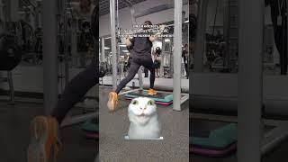 #людивчёрном #котик #котиксголосом #юмор #тренды #тренировки #тренировкивзале #персональныйтренер