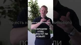 ПОВРЕДИЛИ ХРЯЩ. ВЫРАСТЕТ ЛИ НОВЫЙ?