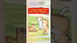 A little angel who lost their wings.#cat #animals #animation