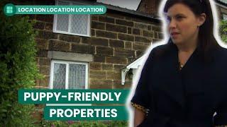 Affordable Homes with Space for a Pet! | Location Location Location UK