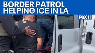 Border Patrol says California policies force public immigration raids | FOX 11 LA