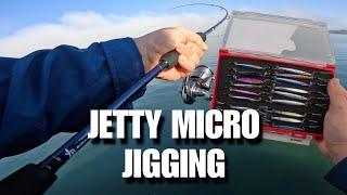 JDM LIGHT TACKLE MICRO JIGGING FOR PELAGICS!