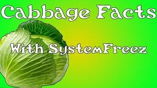 Cabbage Facts With SystemFreez