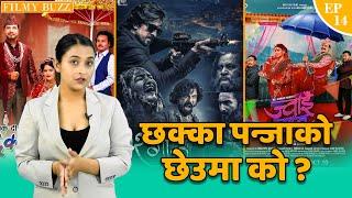 छक्का पन्जाको छेउमा को ? Filmy Buzz 14 || Suraksha Bhattarai || Chhakka Panja 5 , 12Gaun , Jwai Saab