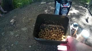 Northern Baits Austria