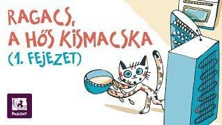 Ragacs, a hős kismacska