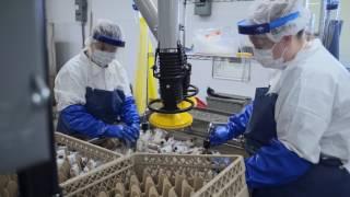 Medline Opens ReNewal Medical Device Reprocessing Facility