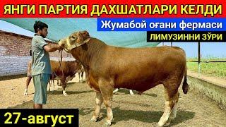 ЯНГИ ПАРТИЯ ЗОТДОР МОЛЛАР КЕЛДИ ЖУМАБОЙ ОҒАНИ ФЕРМАСИ ШОВОТ ЛИМУЗИННИ ЗЎРИ КЕЛДИ 27-август 2024 г.