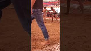 kushtiwrestling:traditonal wrestling competition, himachal pardesh , india #kushtitime #kushtidangal