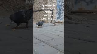 Мүмкін бұл сөз саған арналар. Өмір туралы нақыл сөздер. Ангимелер жинагы