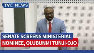 Senate Grills Ministerial Nominee Olubunmi Tunji-Ojo