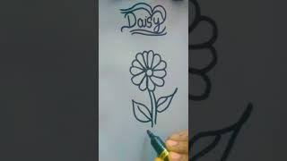 Daisy flower drawing