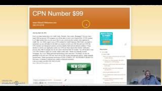 cpn credit loan funding 50k with primary and au tradelines