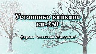 Установка капкана кп-250 (как поймать бобра) Бобер в кп-250