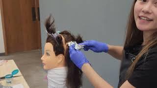 TDLR Cosmetology Operator Practical Exam Foil Highlights Application Service. Chinese