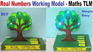 real numbers working model maths tlm for exhibition - diy | maths project | class 9/10 | craftpiller