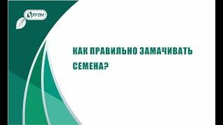 Как правильно замачивать семена?