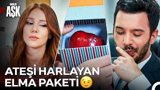 Bu Gece Ortalık Yansın O Zaman- Kiralık Aşk