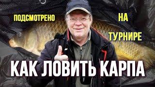 Как ловить карпа Турнир Секреты и практические советы от мастеров ловли #1