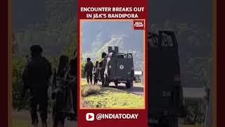 Bandipora Encounter: Two Jawans Injured in Fierce Clash with Terrorists in Jammu And Kashmir