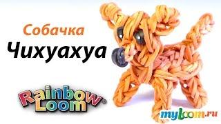 Чихуахуа  Собачка из резинок Rainbow Loom Bands. Урок 297 | Chihuahua dog Rainbow Loom