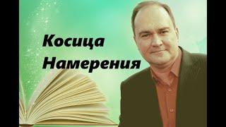 Косица Намерения. Анализ книги Вадима Зеланда «Тафти жрица».