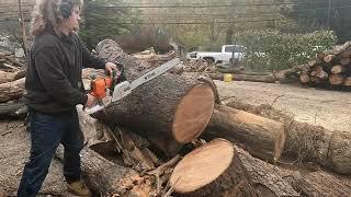 Stihl MS461 cutting bigger logs for firewood