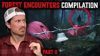 Top 5 Bingeable Scary Stories • FOREST HORROR Edition Vol. 2