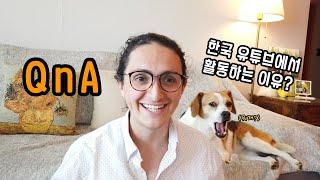 하루 일과, 컴퓨터 추천, 트렌드는 어디서? 13만 기념 Q&A