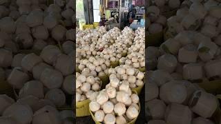 Best Coconut Packaging Process for Global Export - Fruit Cutting Skills