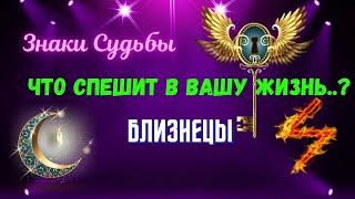 ️БЛИЗНЕЦЫ️ЗНАКИ СУДЬБЫ - ЧТО СПЕШИТ В ВАШУ ЖИЗНЬ?Tarò Ispirazione