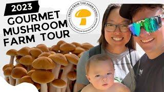 Gourmet Mushroom Farm Tour 2023