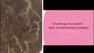 #MetalDetecting Challenge! Nathaniel Outdoor Adventures, aka  NOA  VS Swinging Donna Challenge! #81