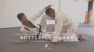 Three Moves From Butterfly Guard